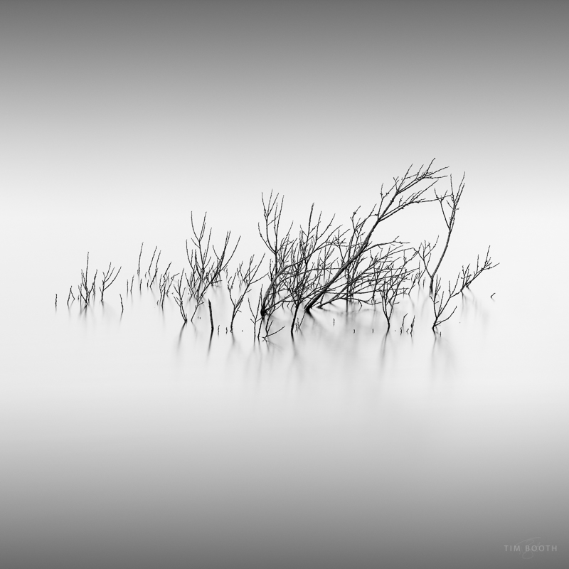 2017-Apr Landscapes-6