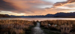 Lake Pukaki