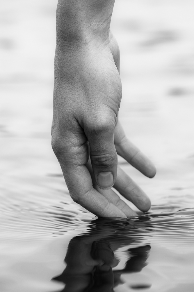 The hands of Anna Watkins - Olympic Rower by Tim Booth