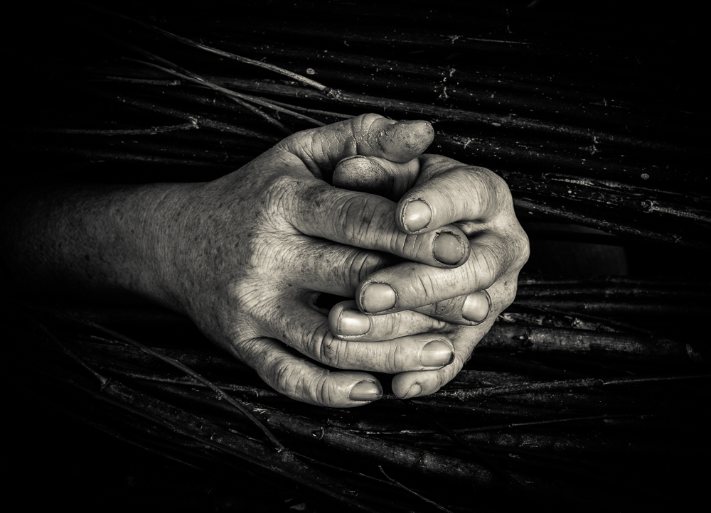 The hands of Kim Cresswell- Willow Sculptor by Tim Booth